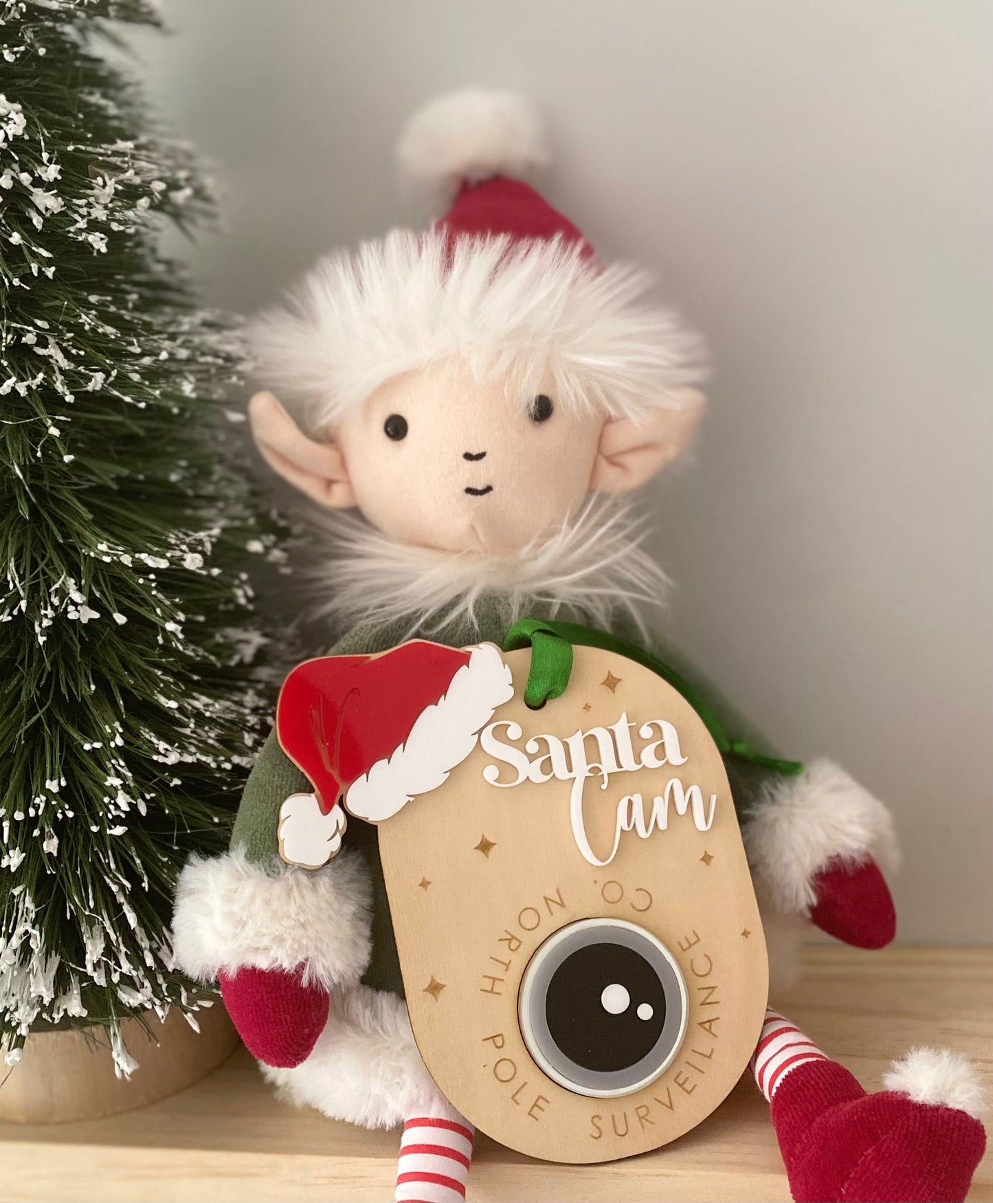 Santa Cam Ornament